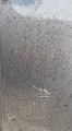 20210527_110705.jpg