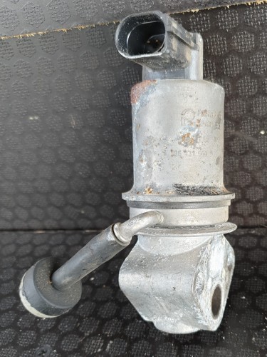 20190918_160052.jpg