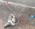 20220122_095635.jpg