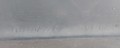 20200715_111948.jpg