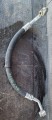 20221012_113703.jpg