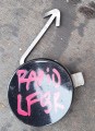 20220806_103431.jpg
