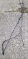 20221123_124945.jpg