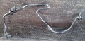 20230302_114320.jpg