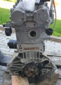 20200814_102810.jpg