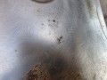 20230823_153504.jpg