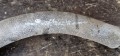 20240624_162136.jpg