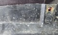20240611_161809.jpg