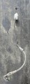 20240418_142535.jpg