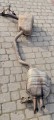 20240924_160856.jpg
