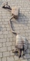 20240924_160857.jpg