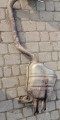 20240924_160911.jpg