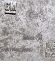 20241121_155841.jpg
