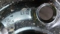IMG-20250313-WA0081.jpg