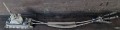 20250310_093256.jpg
