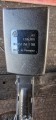 20250523_165043.jpg