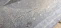 20250714_144115.jpg