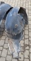 20251018_112919.jpg