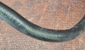20251114_111807.jpg