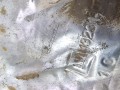 20260206_094724.jpg