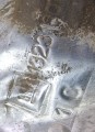 20260206_094726.jpg