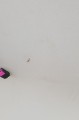 20201117_141102.jpg