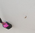 20201117_141104.jpg
