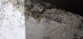 20260402_140748.jpg