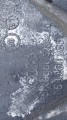 20200928_113156.jpg