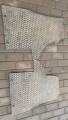 20210218_144911.jpg