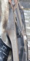 20200928_112321.jpg